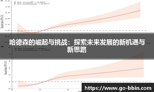哈德森的崛起与挑战：探索未来发展的新机遇与新思路